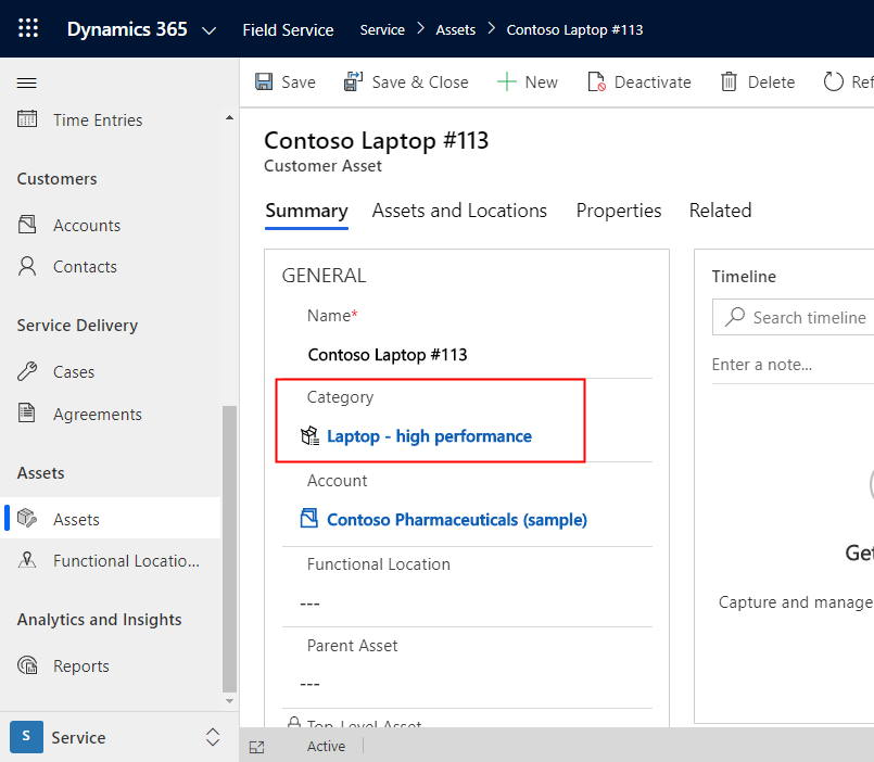 Screenshot of a customer asset, with the asset category highlighted.