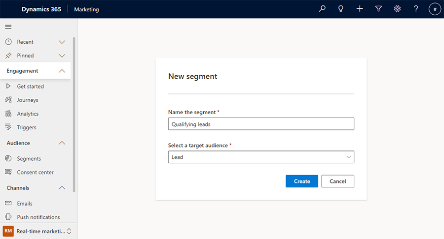 Create a segment to target leads.